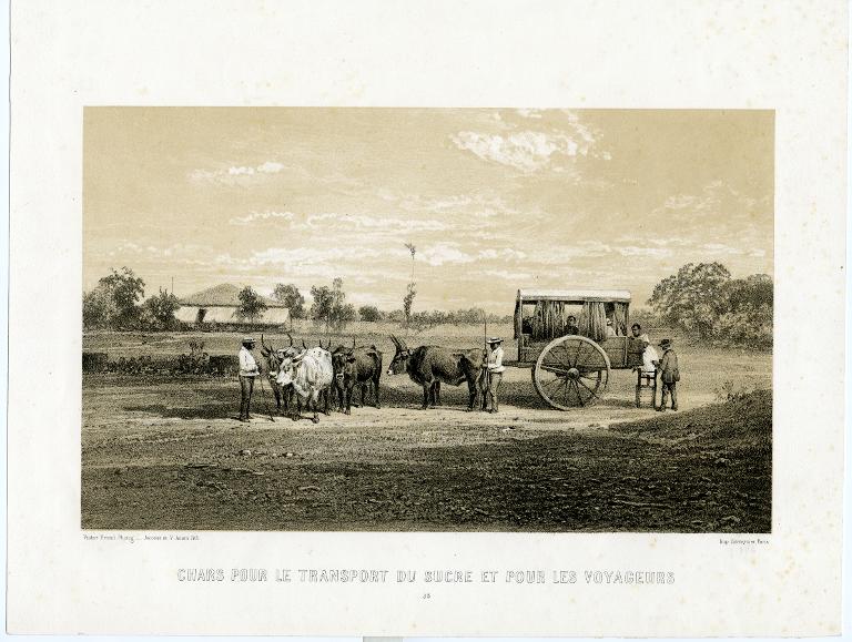 Chars pour le transport du sucre et pour les voyageurs