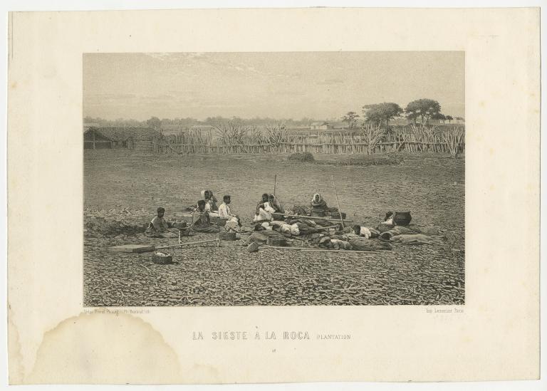 La sieste à la roça. Plantation