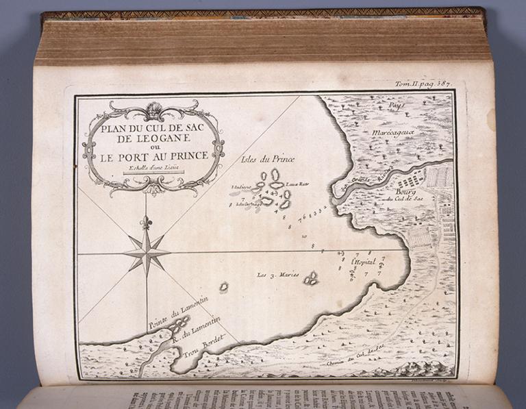 Plan du Cul de Sac de Léogane ou Le Port au Prince
