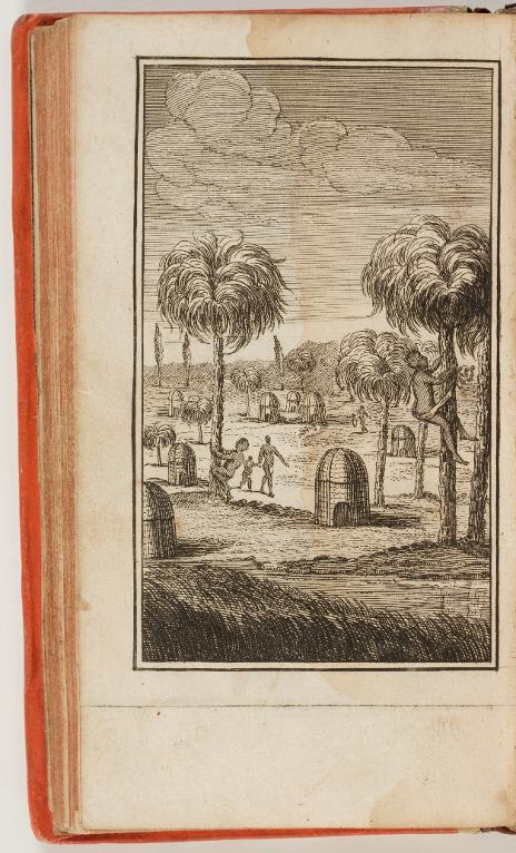 Récolte du vin de palme au royaume d'Issygny